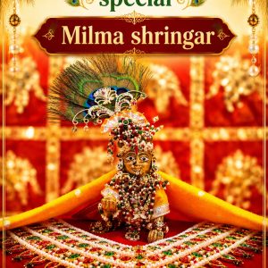 Janmashtmi shringar